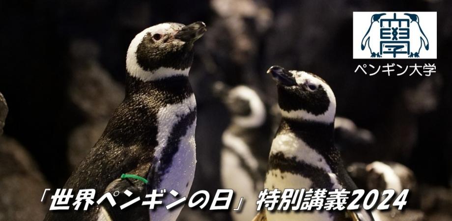ペンギン大学 「世界ペンギンの日」特別講義2024