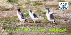 ペンギン大学「世界ペンギンの日」特別講義2025